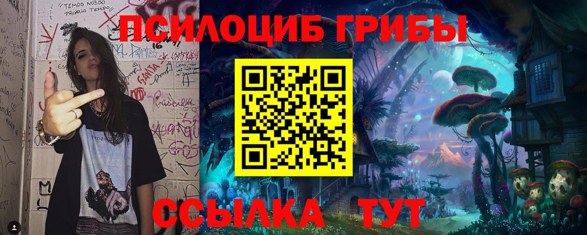 Галлюциногенные грибы Cubensis Пенза