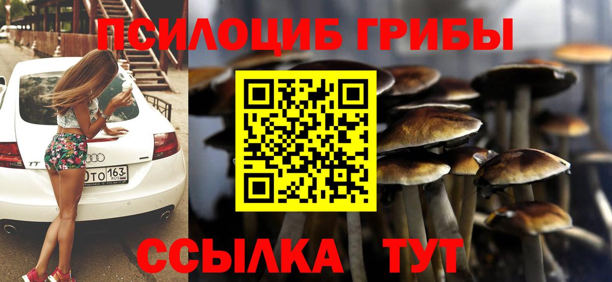 Галлюциногенные грибы Cubensis  Вход с VPN  Пенза  Псилоцибиновые грибы мухоморы 